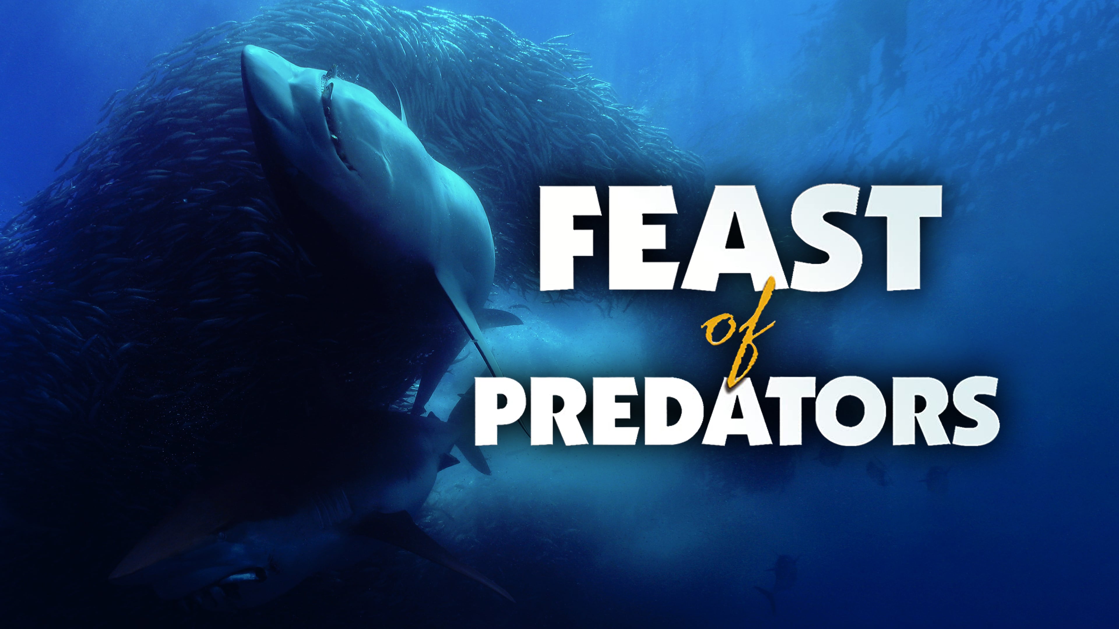 Feast of Predators