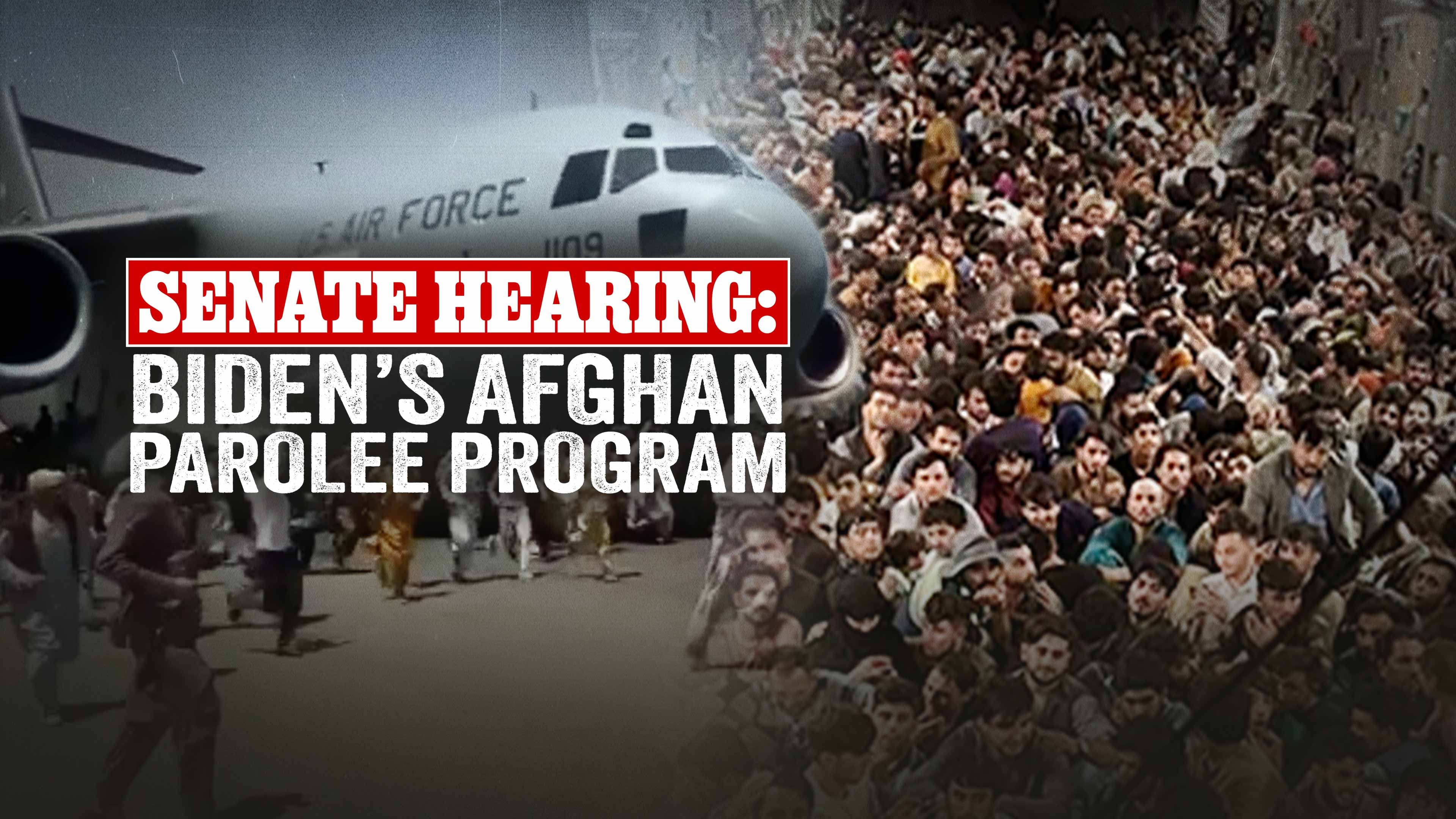 Senate Hearing: Biden’s Afghan Parolee Program