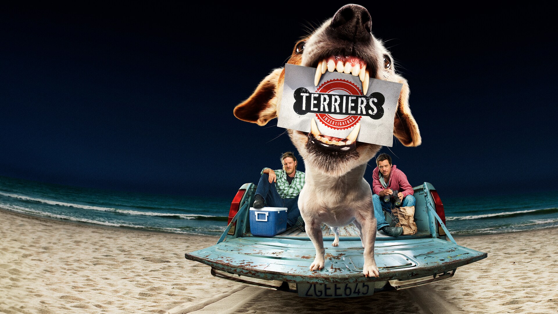 Video Poster
