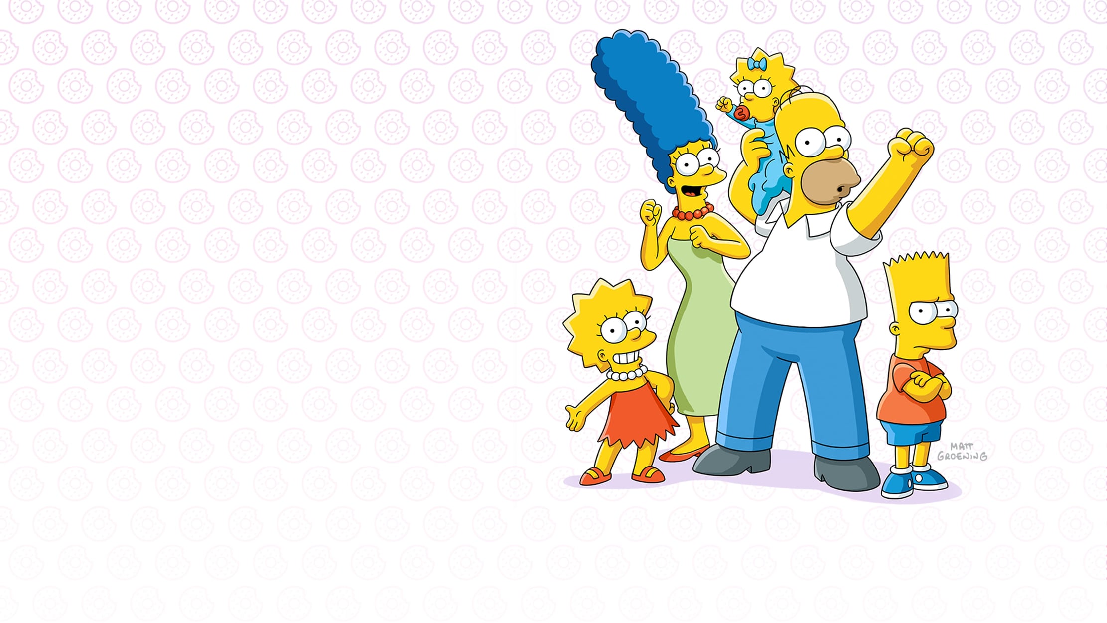 The Simpsons seriesDetail