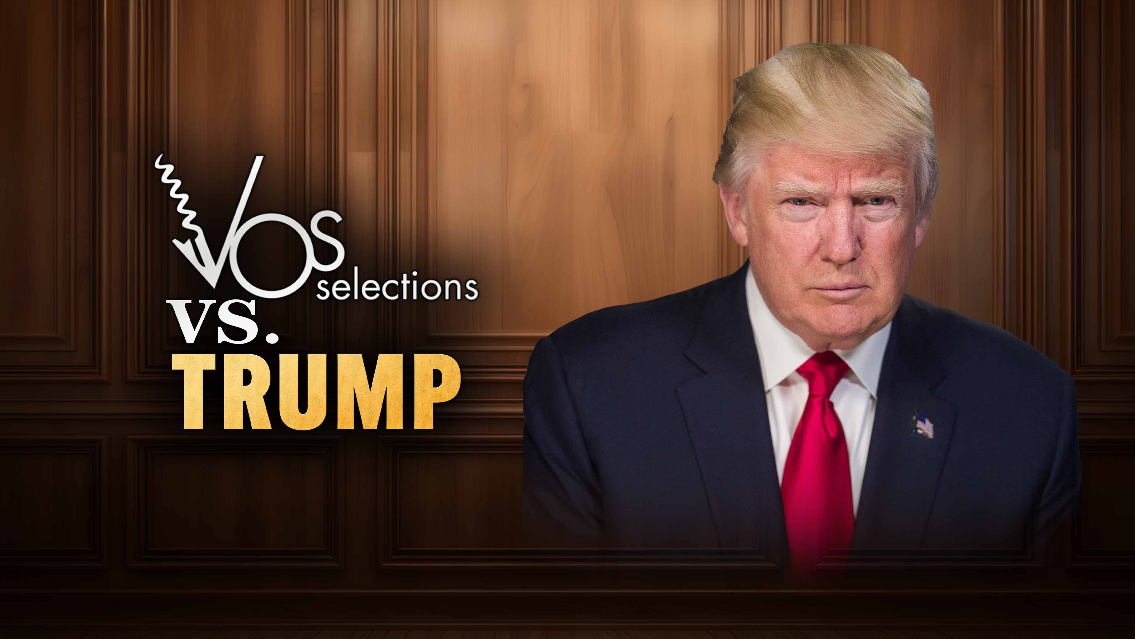V.O.S. Selections v. Trump